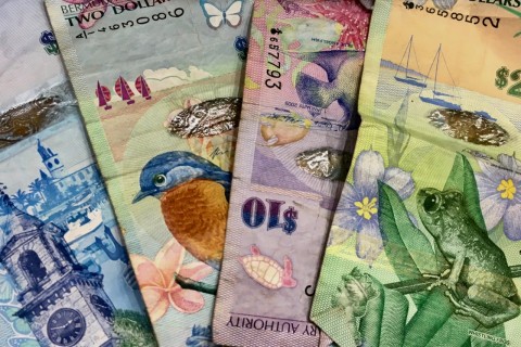 Bermuda currency photo by Nave Ozzurba on Unsplash