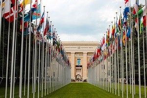 un flags