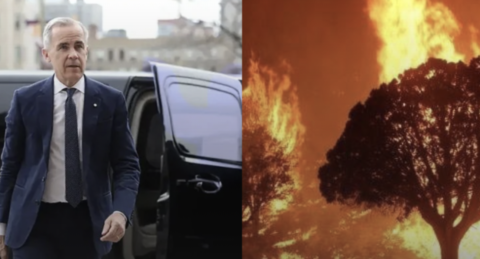 Photo of PM Carney alongside photo of trees on fire